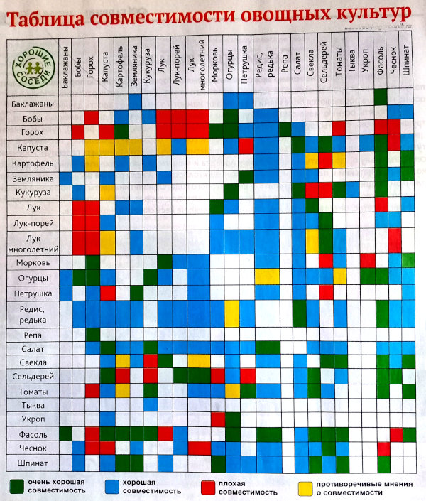 таблица совместимости овощных культур